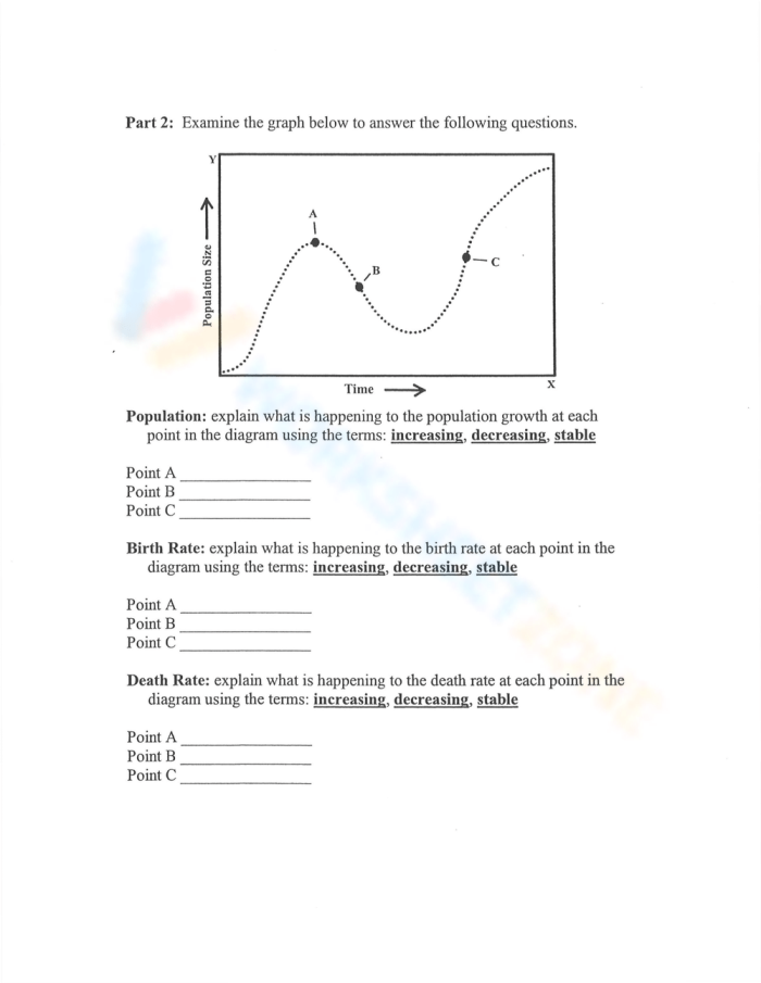 Population Growth Factors Worksheet for Sixth Grade Algebra: Image 10 Worksheet illustrating population growth factors using fox and rabbit dynamics in a forest ecosystem