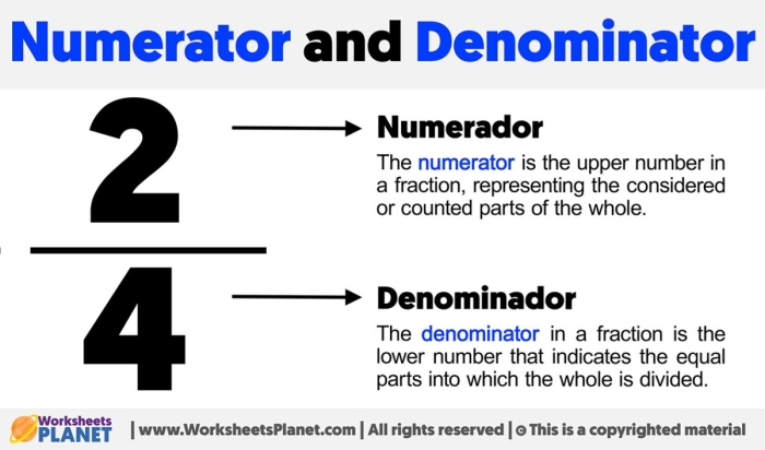 Third grade students practice identifying the numerator and denominator with this educational fraction worksheet