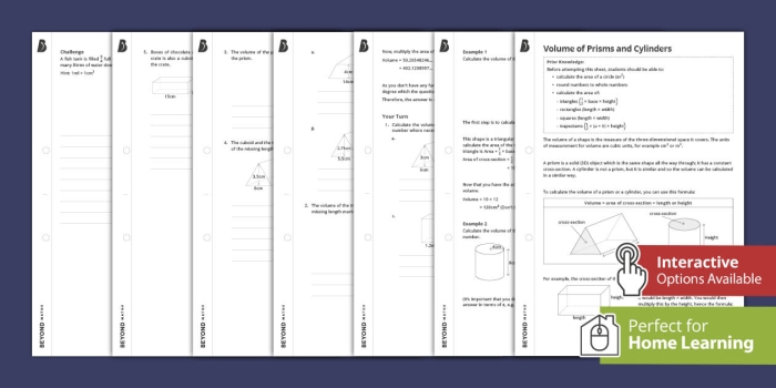 Volume of Rectangular Prisms With Fractional Side Lengths Worksheet 19 A sixth-grade math worksheet featuring geometry problems for calculating the volume of rectangular prisms with fractional side lengths