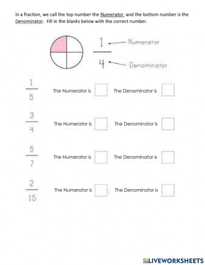 Third grade worksheet explaining the basic terms of numerator and denominator for fraction practice