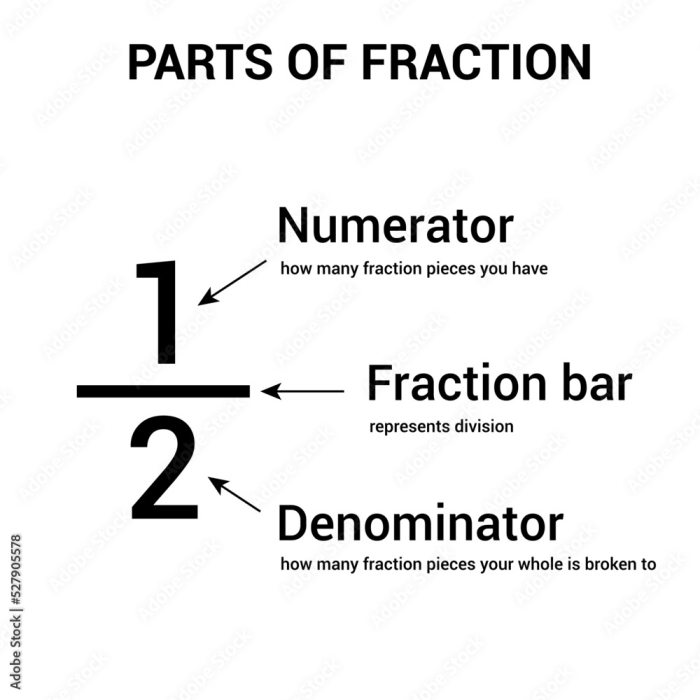 Third grade student learning to identify numerator and denominator parts on a fractions worksheet 13