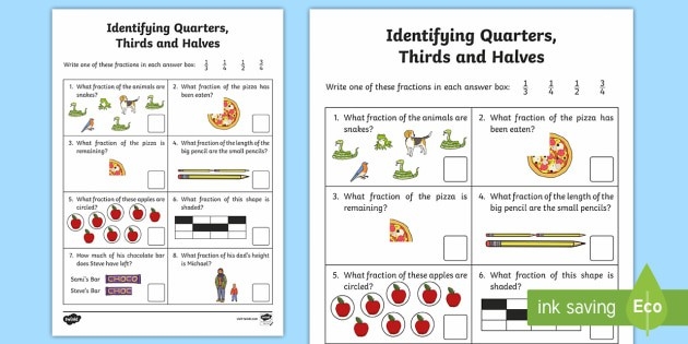 Identifying Halves, Thirds, and Fourths worksheet for Second Grade