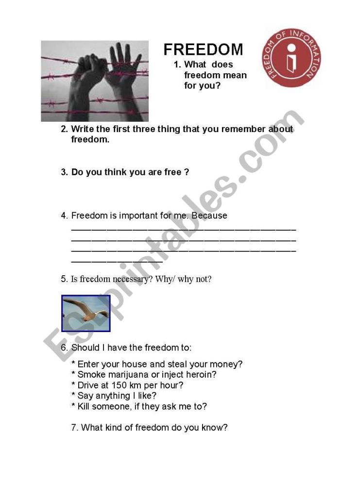Fifth grade student analyzing the meaning of freedom with a historical perspective worksheet