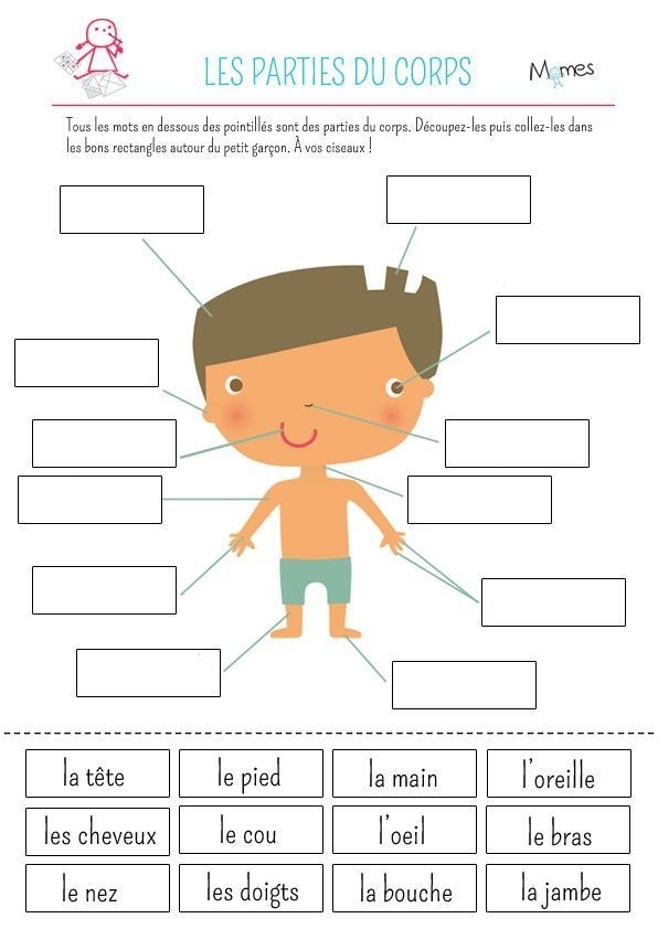 Illustration of a worksheet designed to help third graders learn French body parts