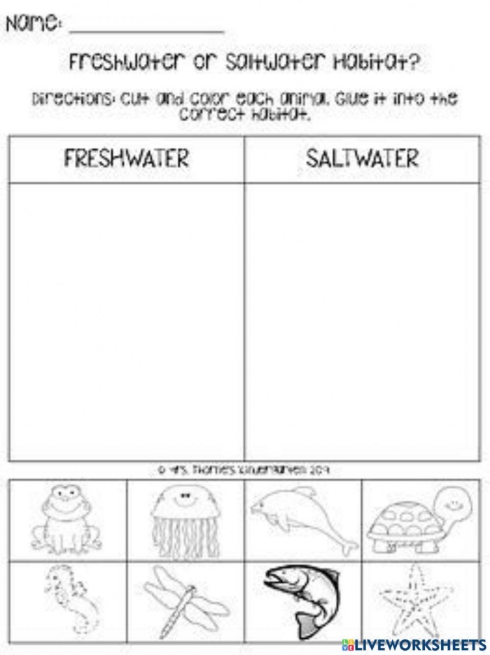 Educational activity on the mixing of fresh and salt water in the water cycle Worksheet illustrating the difference between fresh water and salt water for third graders