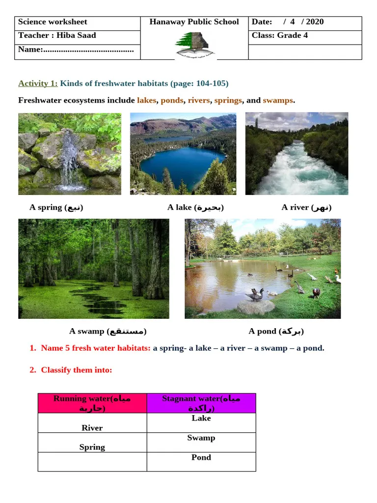 Educational resource about the interaction of fresh and salt water in the water cycle Worksheet illustrating the differences between fresh water and salt water for third graders