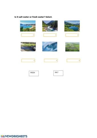 Visual guide to understanding the mixing of fresh and salt water in the water cycle Worksheet illustrating the differences between fresh water and salt water for third graders