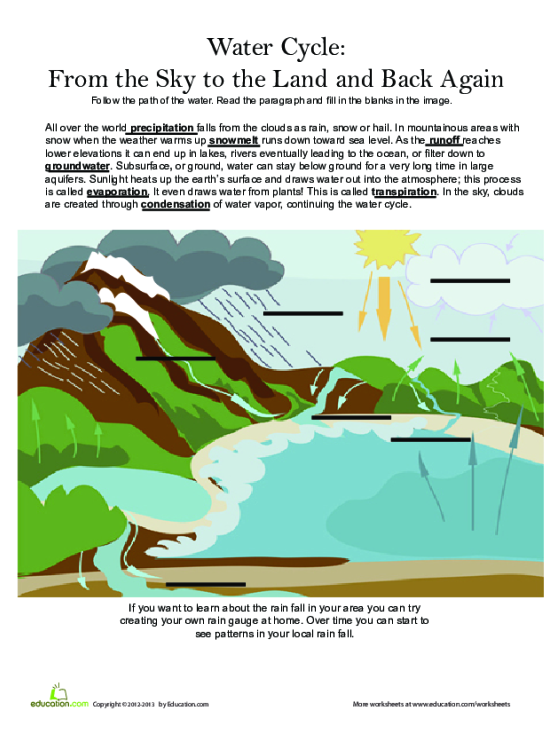 Educational worksheet illustrating the mixing of ocean and river water Fresh Water and Salt Water worksheet for understanding water cycles