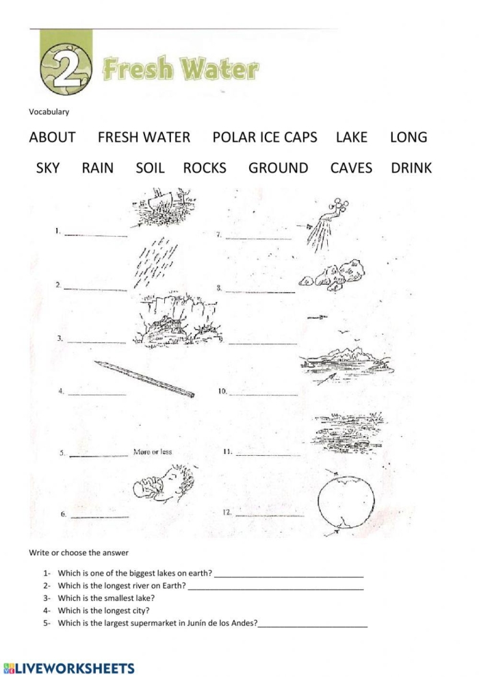 Explore how fresh and salt water interact in this engaging water cycle worksheet Worksheet illustrating the differences between fresh water and salt water for third graders