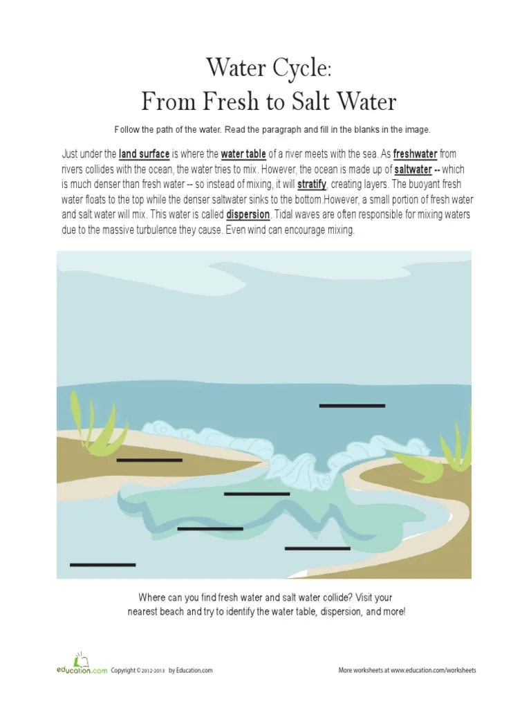 Explore the differences between fresh and salt water in this engaging worksheet Fresh Water and Salt Water worksheet illustrating the water cycle for third graders