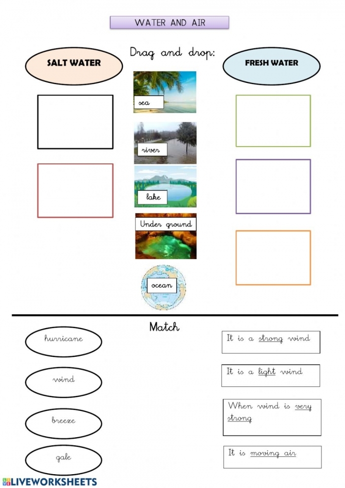 Illustration of the interaction between fresh and salt water for third graders Fresh Water and Salt Water worksheet showing the mixing process in the water cycle