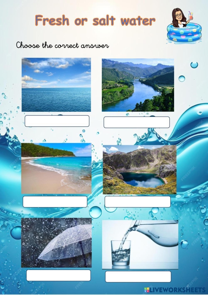 A visual guide to understanding water types and their mixing in the water cycle Worksheet illustrating the differences between fresh water and salt water for third graders