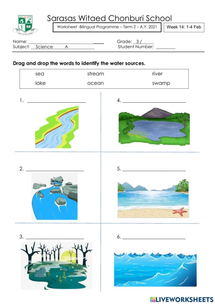 Visual representation of the water cycle for third graders exploring salt and fresh water Fresh Water and Salt Water worksheet showing the interaction between ocean and river water