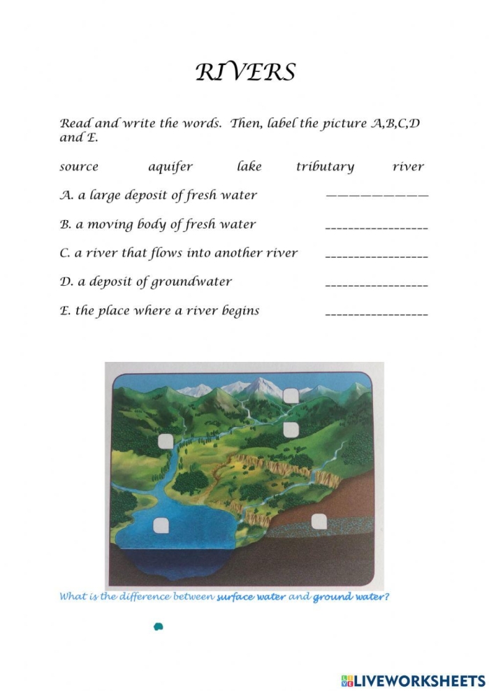 Educational activity on the mixing of fresh and salt water in the water cycle Worksheet illustrating the differences between fresh water and salt water for third graders