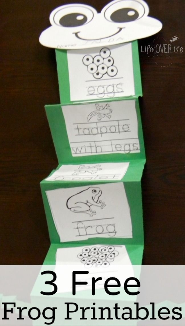 Second grade student working on a frog life cycle cut and paste counting worksheet