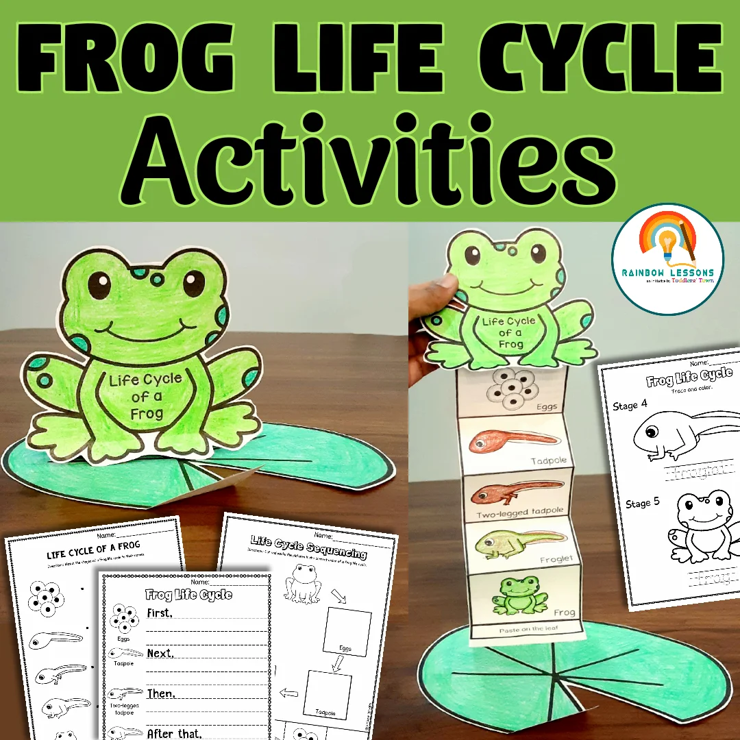 Cute cut and paste worksheet for second graders on the life cycle of a frog