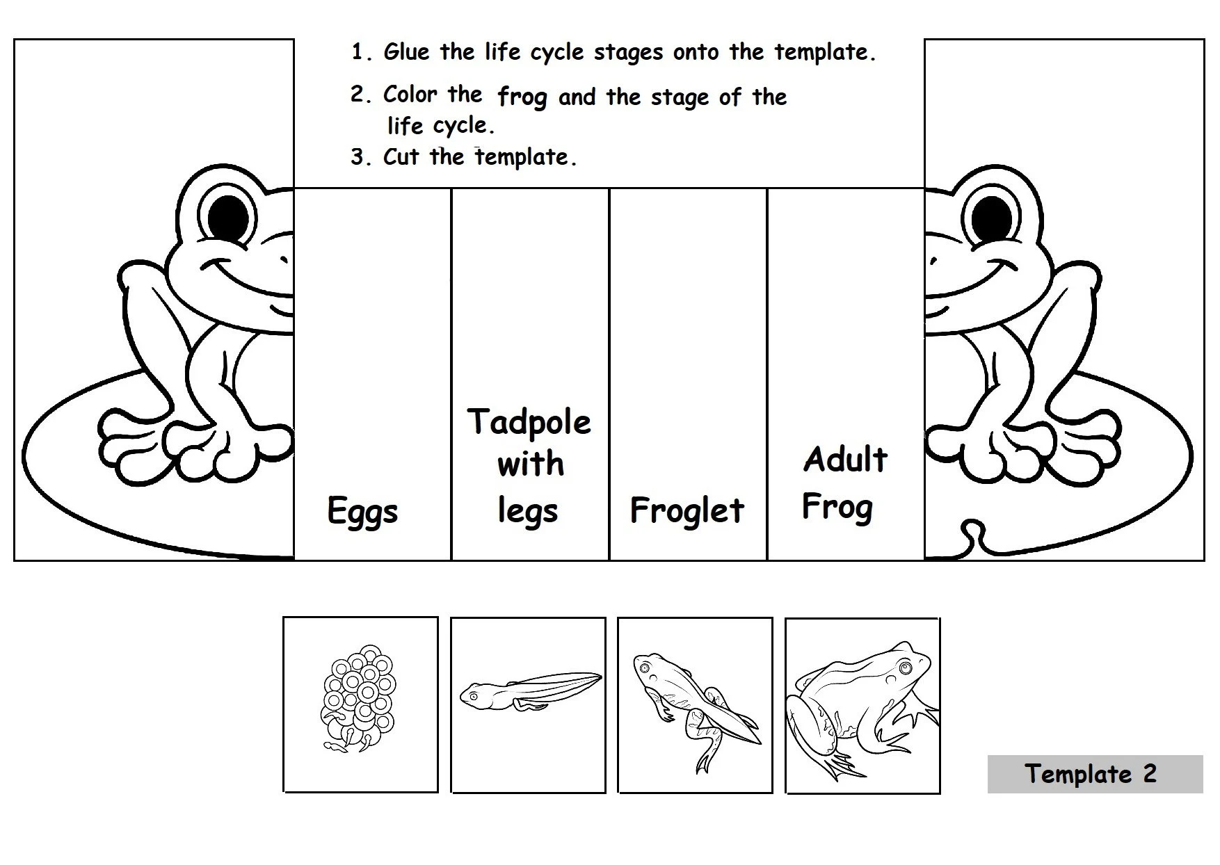 Third grade student worksheet featuring a diagram of a frog life cycle for point of view practice