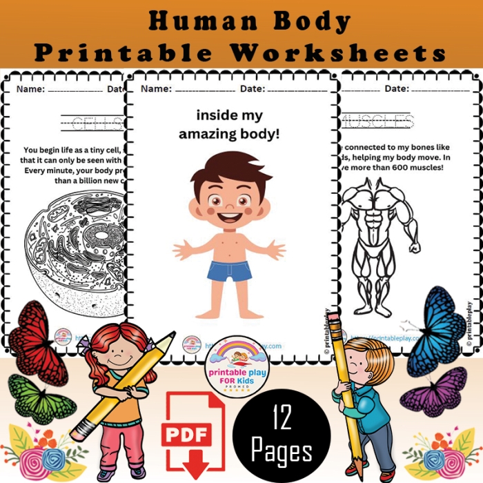 Fun worksheet for first graders to identify parts of the human body while enhancing their spelling skills. Engaging life science activity for young learners.