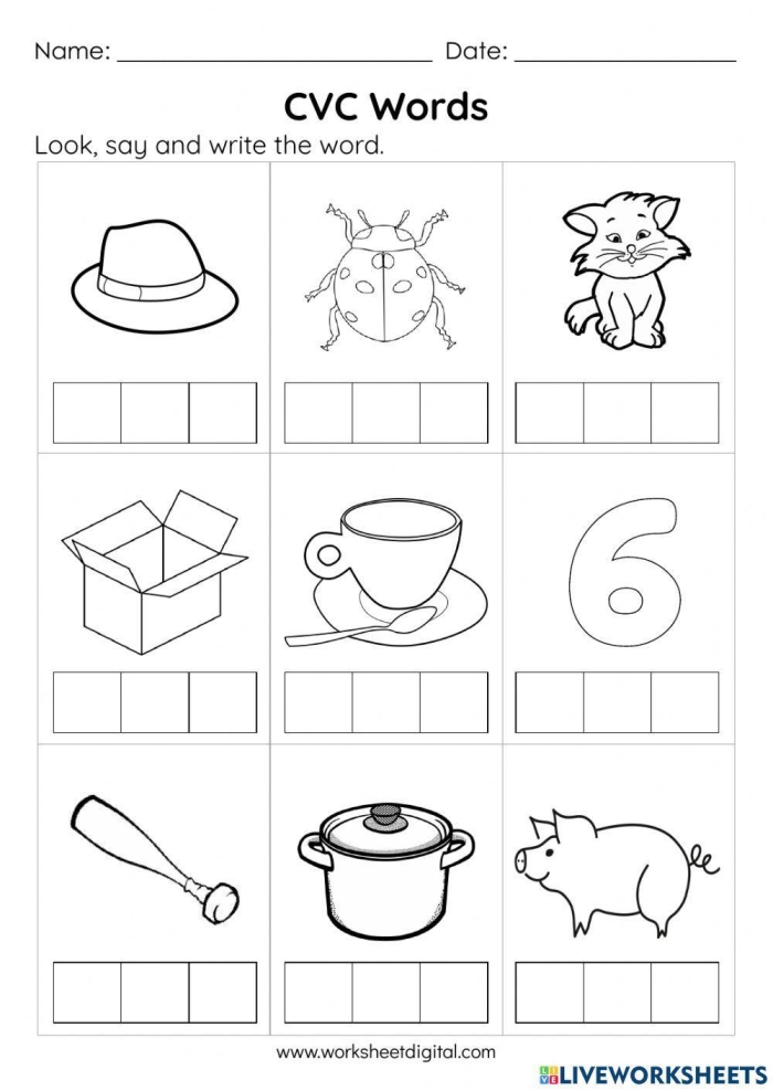 Worksheet featuring cats, bats, and hats for practicing short A CVC words