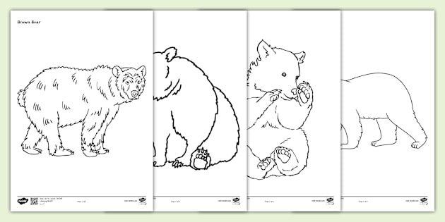 A fuzzy brown bear sitting contentedly in a cozy forest setting for kindergarten reading comprehension
