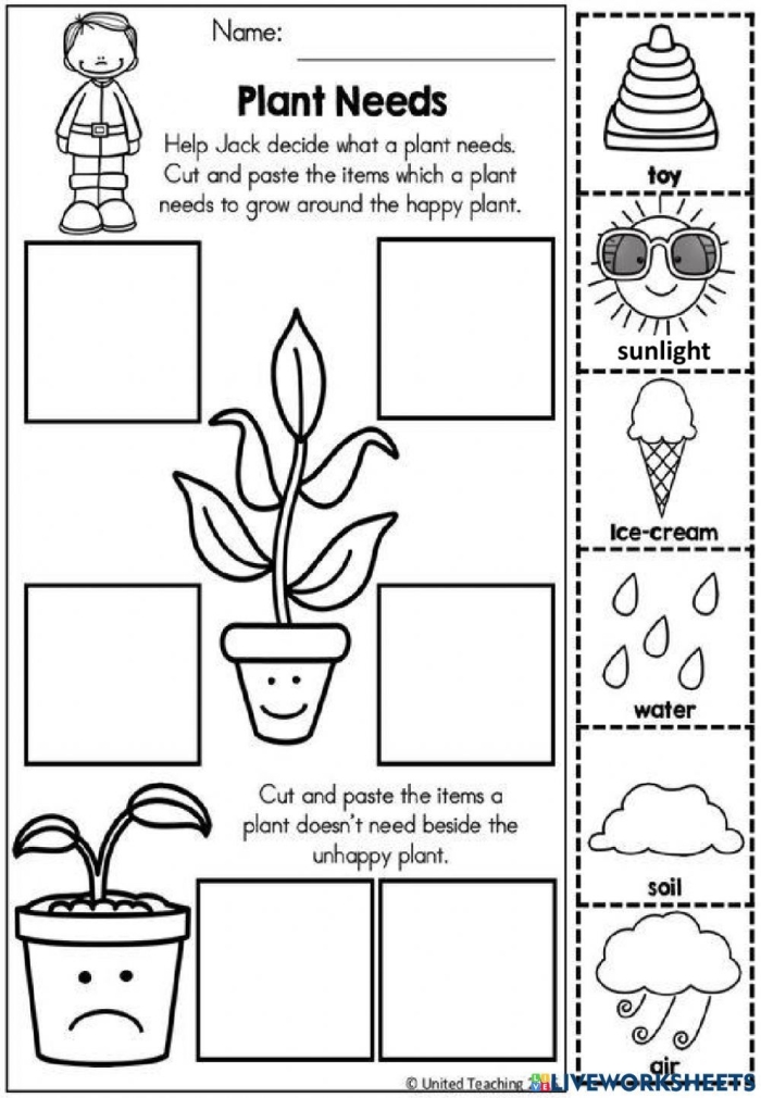 Kindergarten color by number worksheet featuring a garden plants theme for math practice