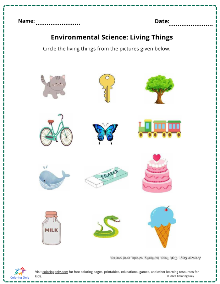 Sixth grade students comparing genetic traits and environmental influences on growth and development
