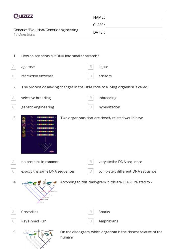Sixth grade science worksheet covering how genetics and environmental factors impact growth and development