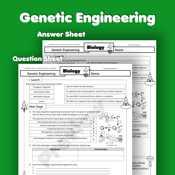 Sixth grade students comparing genetic and environmental influences on growth and development traits