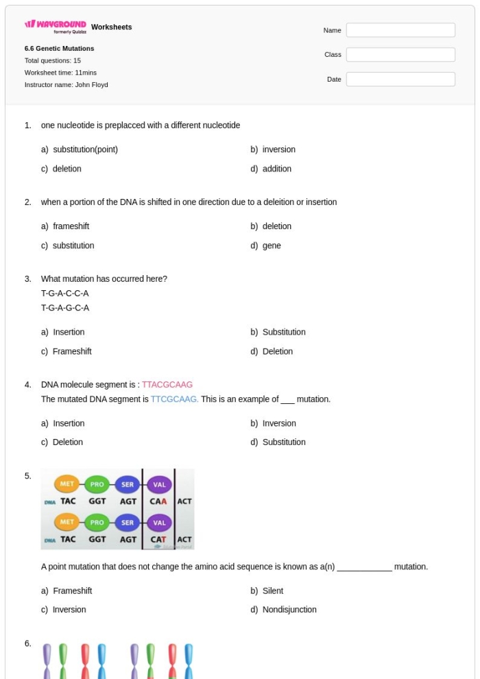 Sixth grade science worksheet covering the biological concepts of genetic mutations