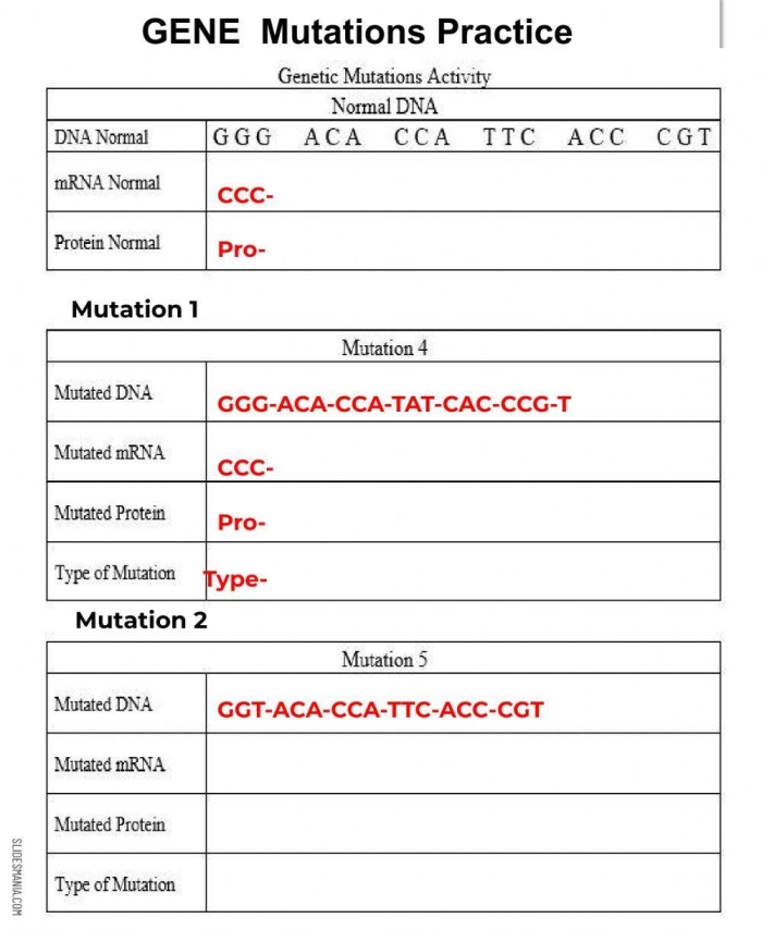 Illustration of a sixth-grade worksheet on genetic mutations, highlighting key concepts and examples