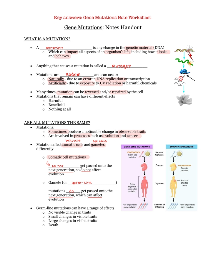 Sixth grade students reading a science worksheet about the impact of genetic mutations on living organisms
