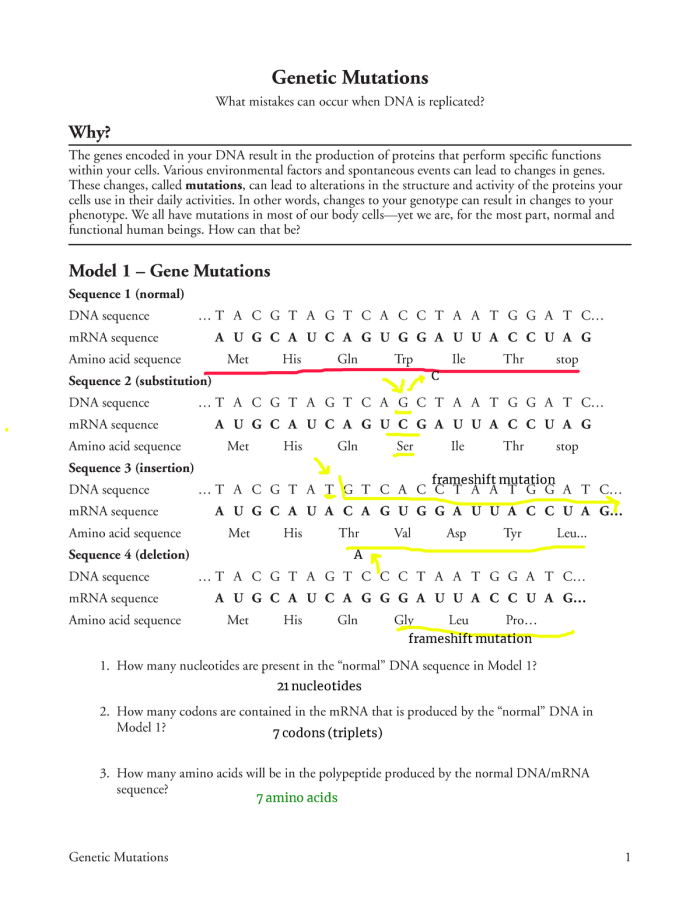 Worksheet featuring genetic mutations for sixth graders to enhance their understanding of life science