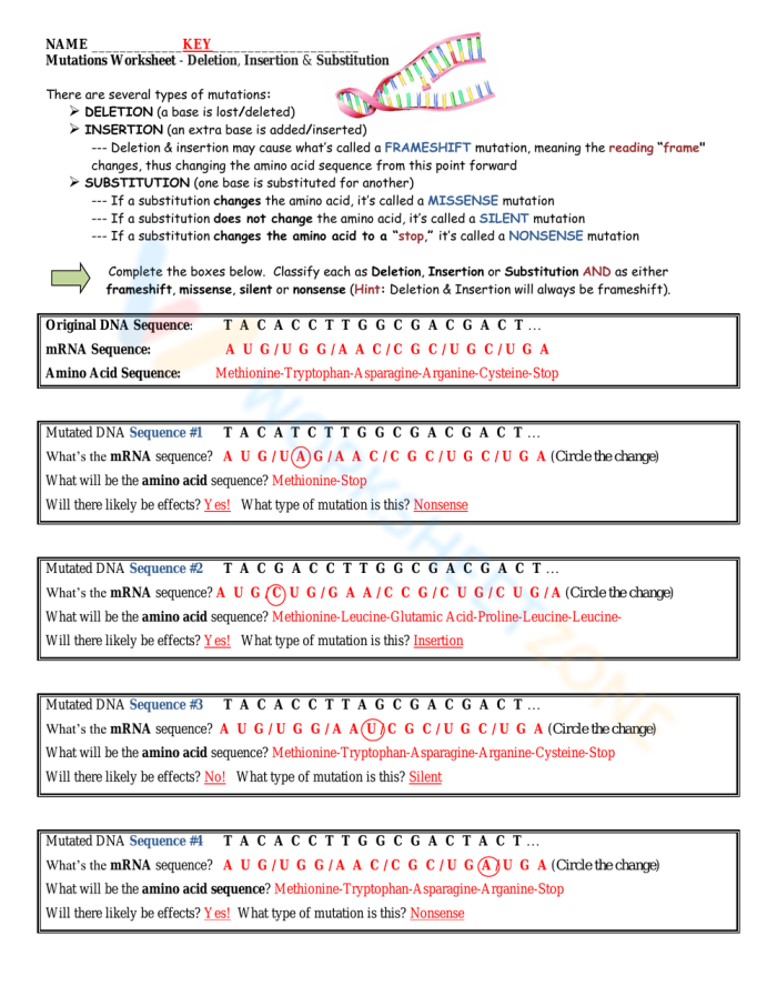 Sixth grade student reading a life science worksheet about how genetic mutations impact living organisms