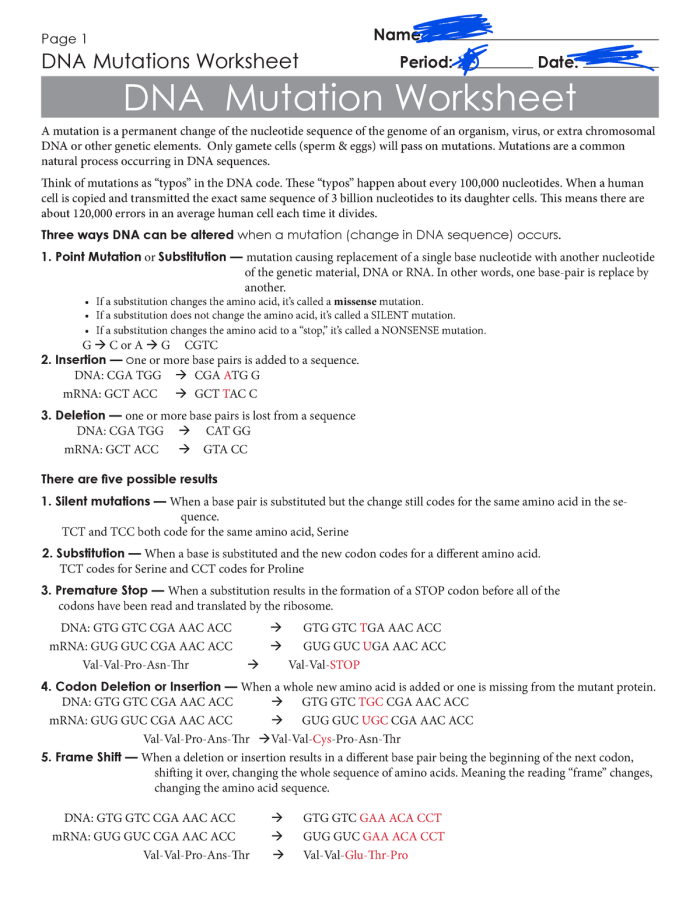 Illustration of a sixth-grade worksheet focusing on genetic mutations and their impact on organisms