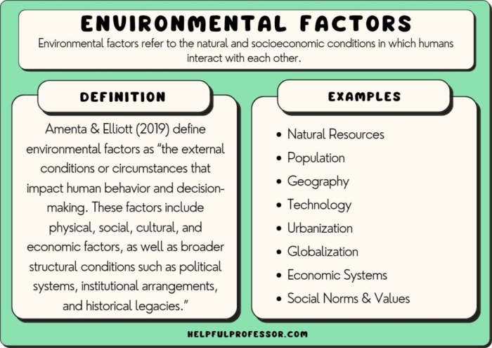 Sixth grade worksheet exploring the roles of genetics and environmental factors in human development