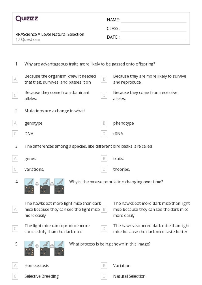 Students examining a diagram showing how genetics and environment shape human growth and physical traits