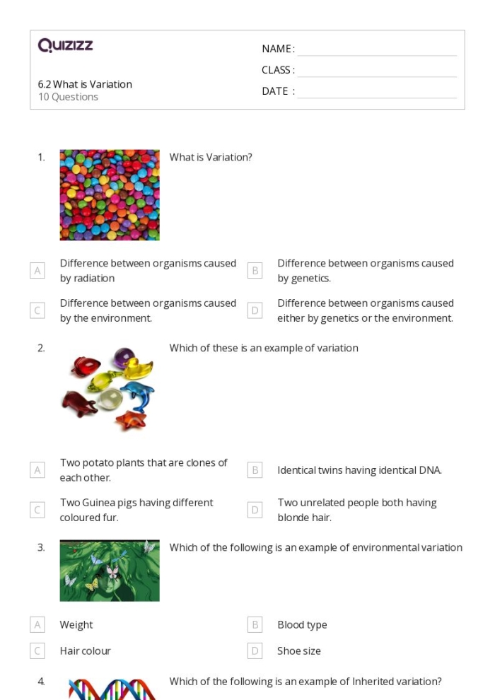 Sixth grade life science worksheet covering how genetics and environment shape physical traits