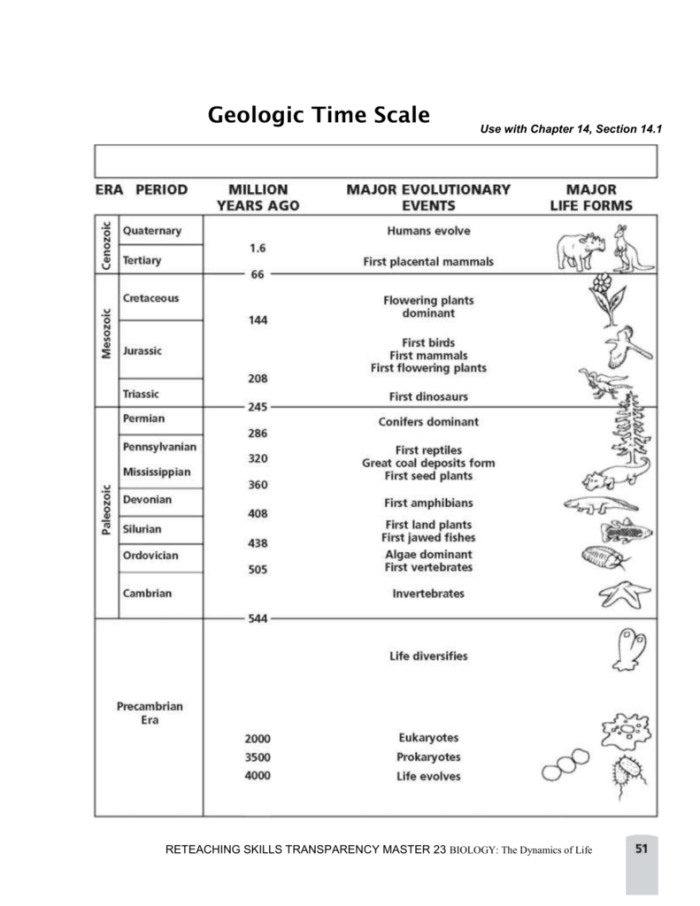 Geologic Time Scale Learning Activity for Middle School Earth Science Sixth grade students studying the geologic time scale with evidence of Earth's history on an interactive worksheet