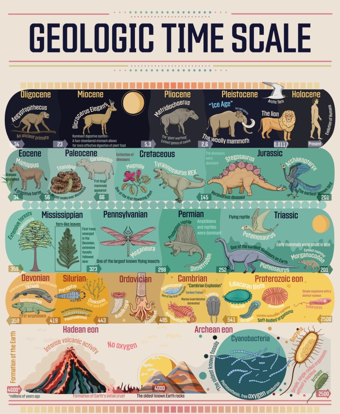 Geologic Time Scale Introduction Worksheet for Middle School Earth Science Sixth grade students learning about Earth's geologic time scale and scientific evidence for dating rock layers and fossils