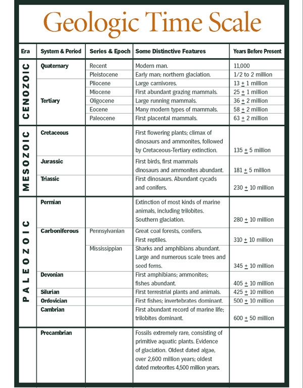 Geologic Time Scale Introduction Worksheet for Middle School Science Sixth grade students learning about geological time periods and fossil evidence on a geologic time scale worksheet
