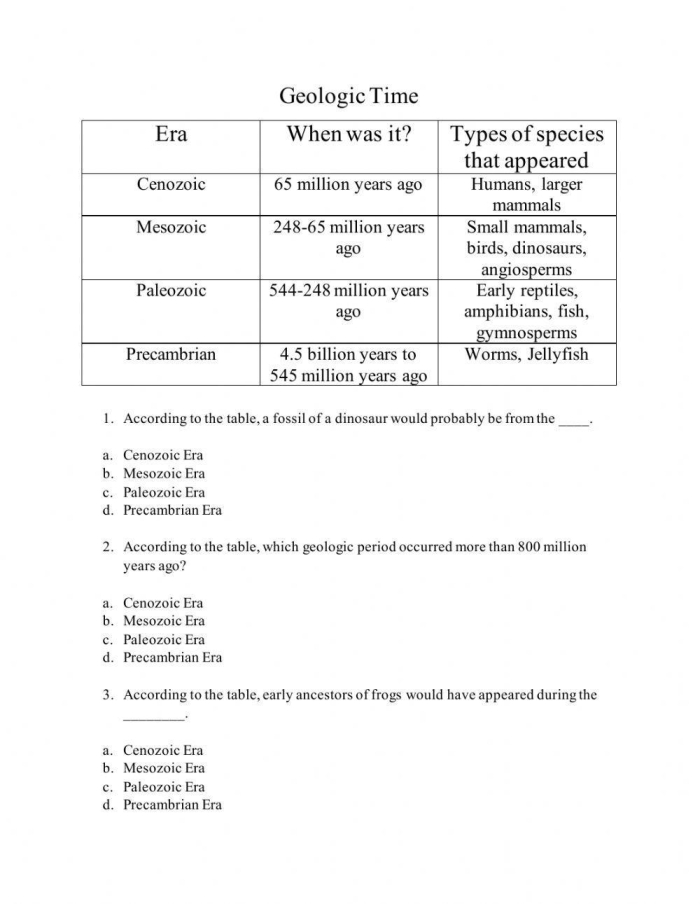 Geologic Time Scale Educational Worksheet 24 Sixth grade students analyzing the geologic time scale and scientific evidence for Earth history on a worksheet