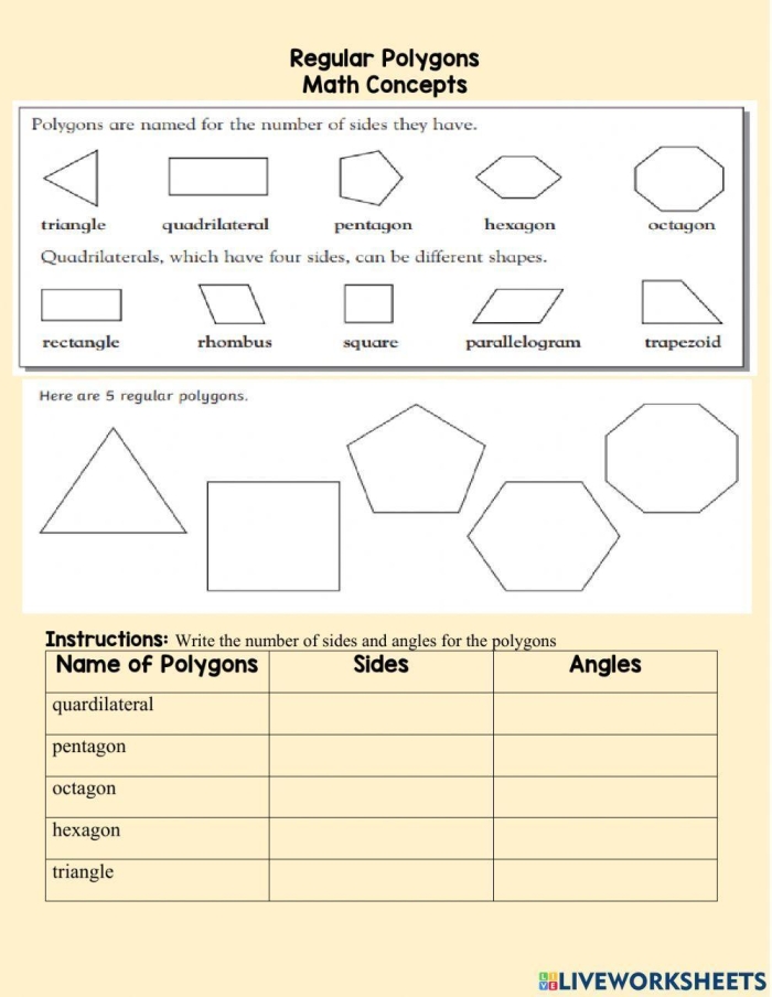 Geometry Review Angles and Polygons worksheet for fifth grade students 8 Fifth grade geometry worksheet featuring practice problems on angles triangles and polygons
