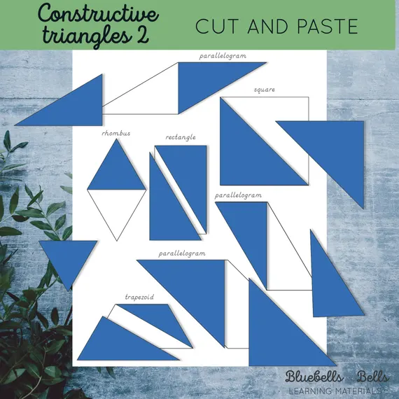 Second grade geometry worksheet featuring line segments and symmetry practice