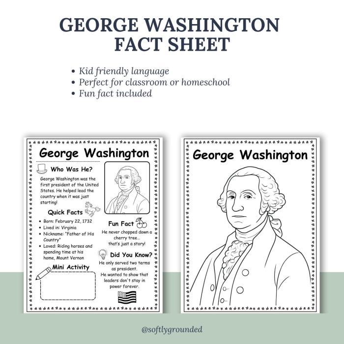 George Washington Facts worksheet for second-grade students to improve reading comprehension