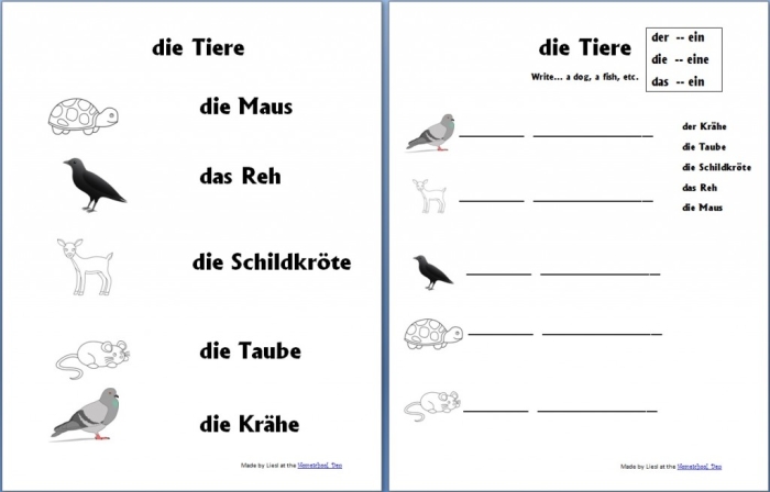 Mini dictionary resource for learning German vocabulary in a physical science context German vocabulary worksheet featuring English-to-German and German-to-English translations for fourth graders