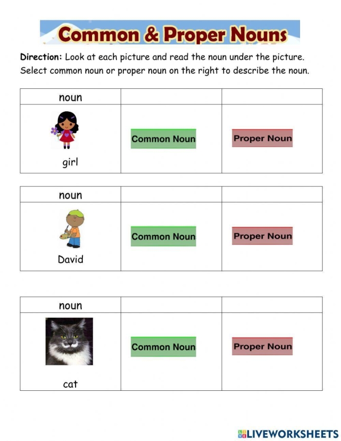 Worksheet helping first graders distinguish between common and proper nouns