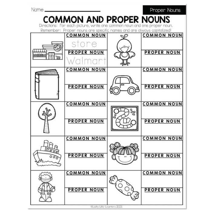 Worksheet for first graders to distinguish between common and proper nouns