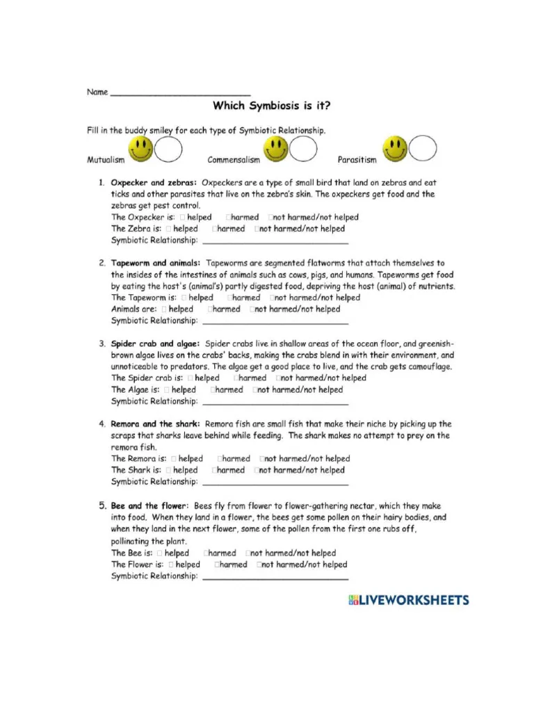Sixth grade students learning about mutualism parasitism and commensalism in ecosystems through a symbiotic relationships worksheet
