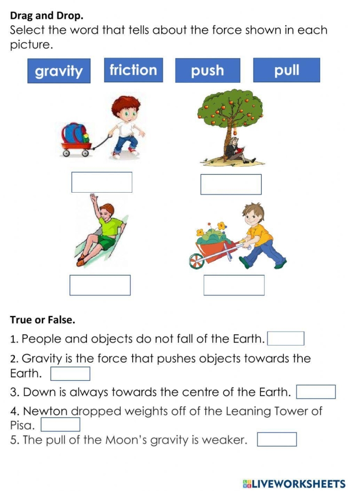 Fourth grade science worksheet explaining gravity for kids with fun activities