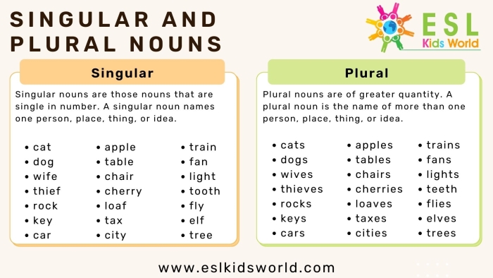 Worksheet illustrating singular and plural nouns for third graders